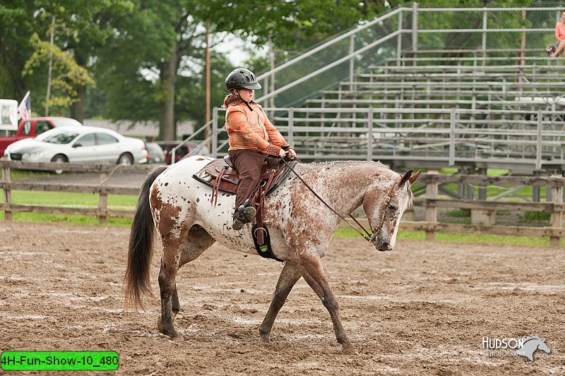 4H-Fun-Show-10_480.jpg