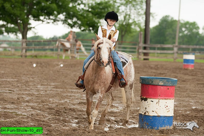 4H-Fun-Show-10_497.jpg