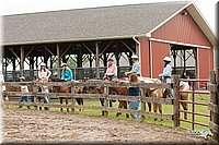 4H-Fun-Show-10_435.jpg