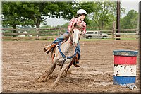 4H-Fun-Show-10_440.jpg