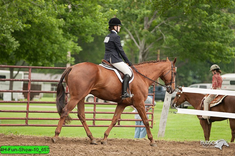 4H-Fun-Show-10_657.jpg