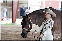 4H-Fun-Show-10_139.jpg