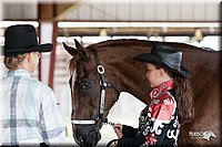 4H-Fun-Show-10_157.jpg