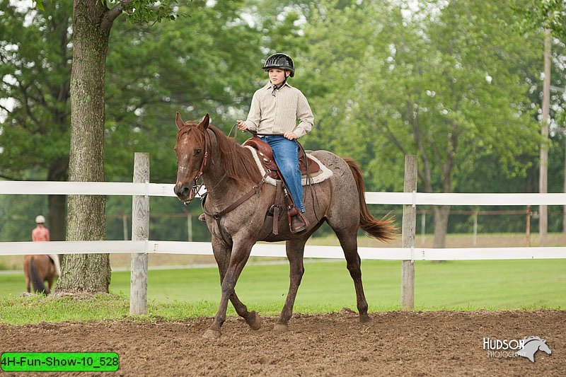 4H-Fun-Show-10_528.jpg