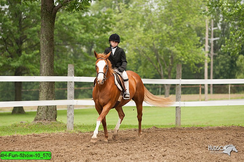 4H-Fun-Show-10_570.jpg