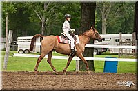 4H-Fun-Show-10_557.jpg