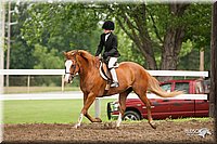 4H-Fun-Show-10_596.jpg