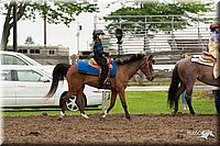 4H-Fun-Show-10_613.jpg