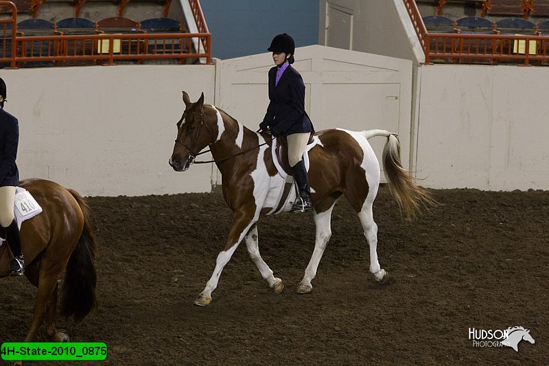 4H-State-2010_0875.jpg
