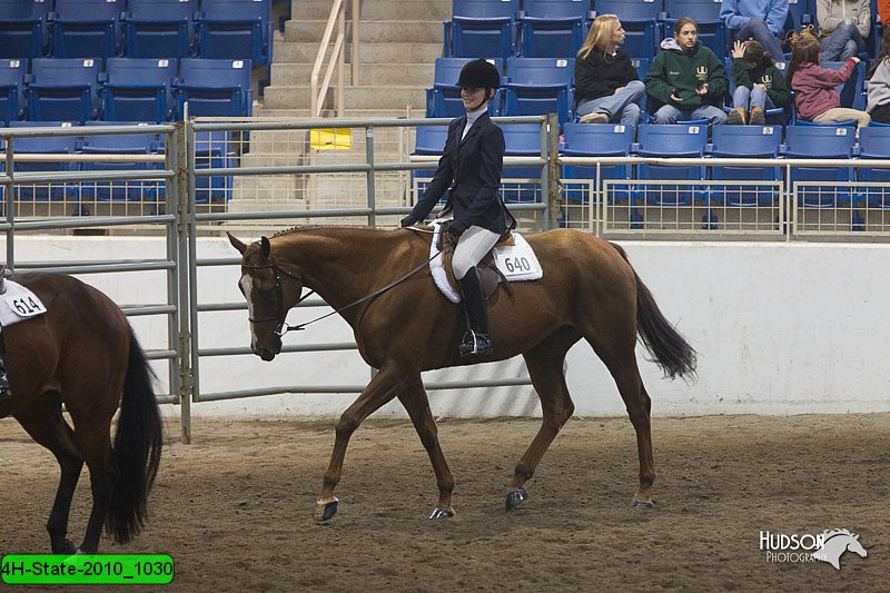 4H-State-2010_1030.jpg
