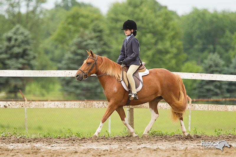 4H-1st-Show-11_1319.jpg