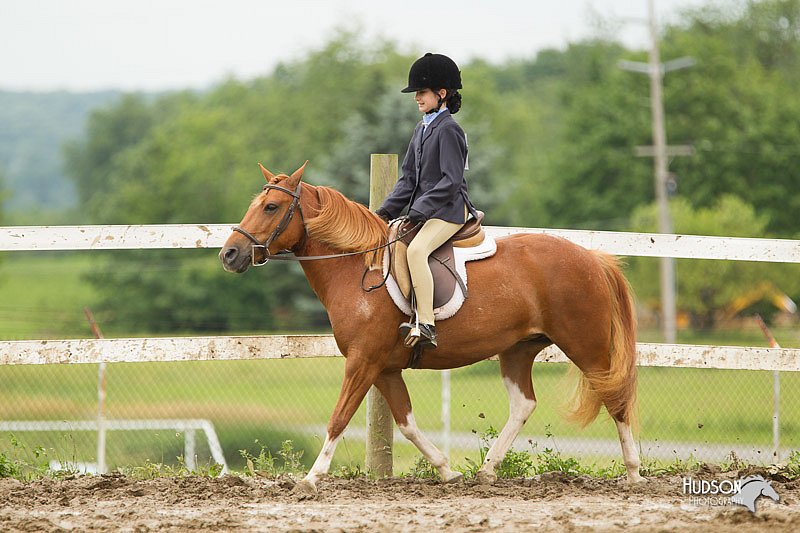 4H-1st-Show-11_1320.jpg