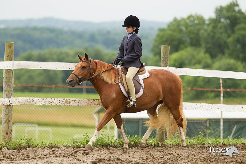 4H-1st-Show-11_1321.jpg