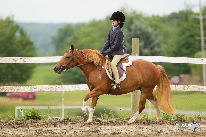 4H-1st-Show-11_1325.jpg