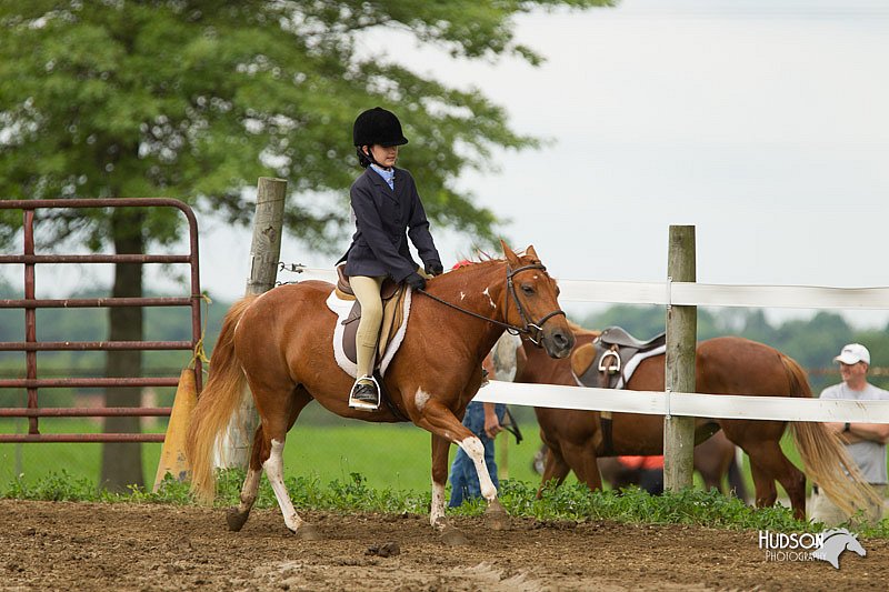 4H-1st-Show-11_1327.jpg