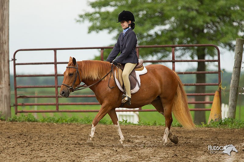 4H-1st-Show-11_1330.jpg
