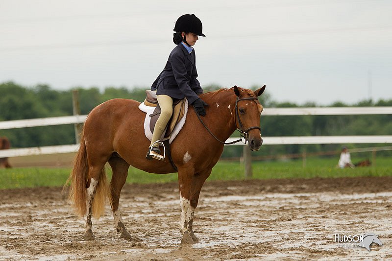 4H-1st-Show-11_1331.jpg