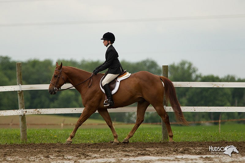 4H-1st-Show-11_1340.jpg