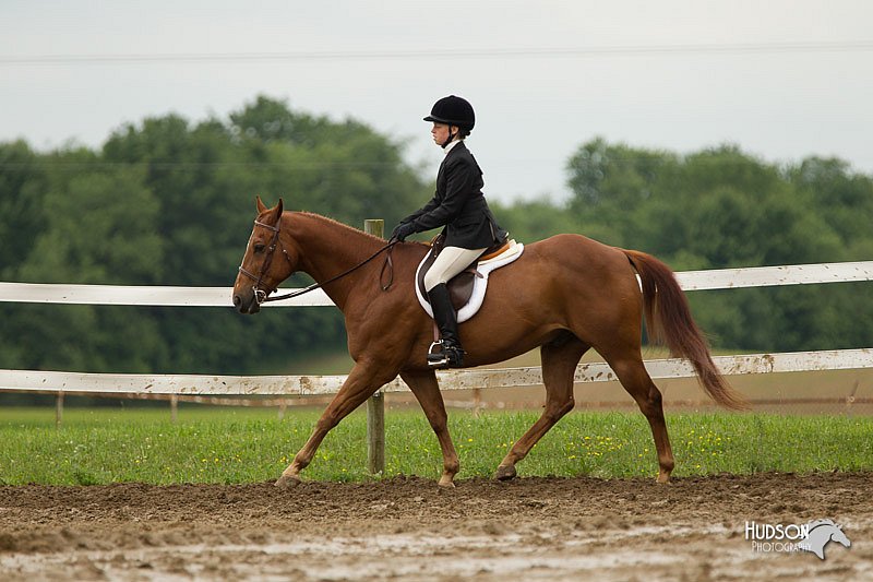 4H-1st-Show-11_1341.jpg