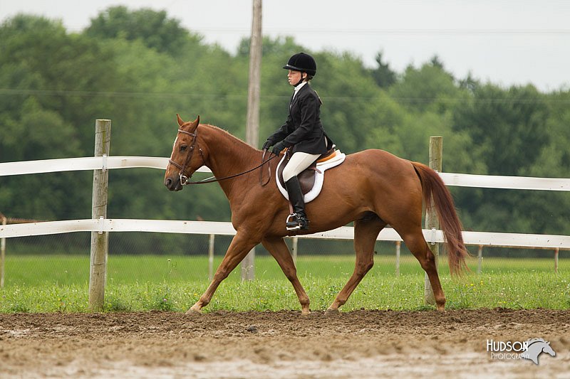 4H-1st-Show-11_1342.jpg