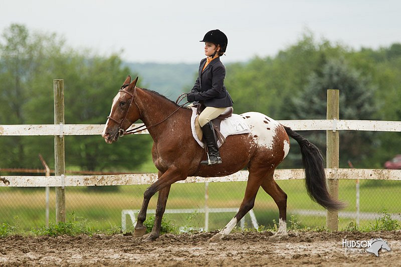 4H-1st-Show-11_1348.jpg