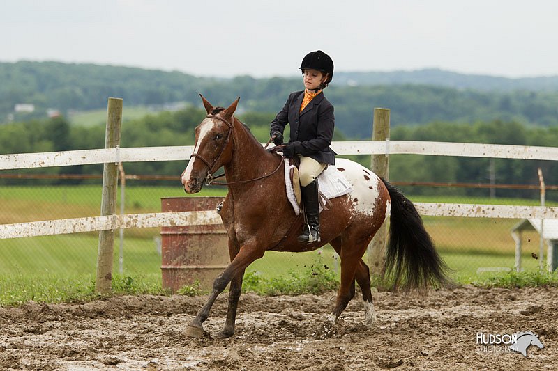4H-1st-Show-11_1349.jpg