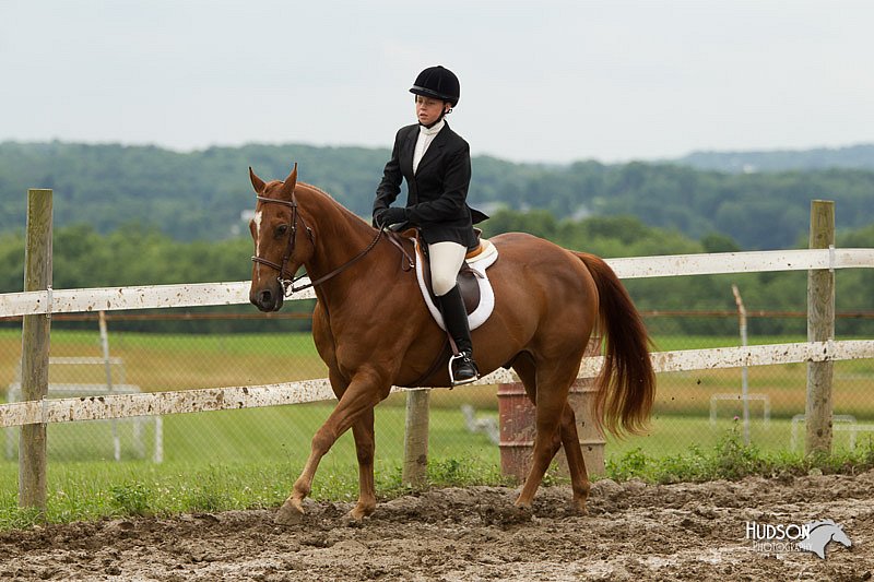 4H-1st-Show-11_1350.jpg