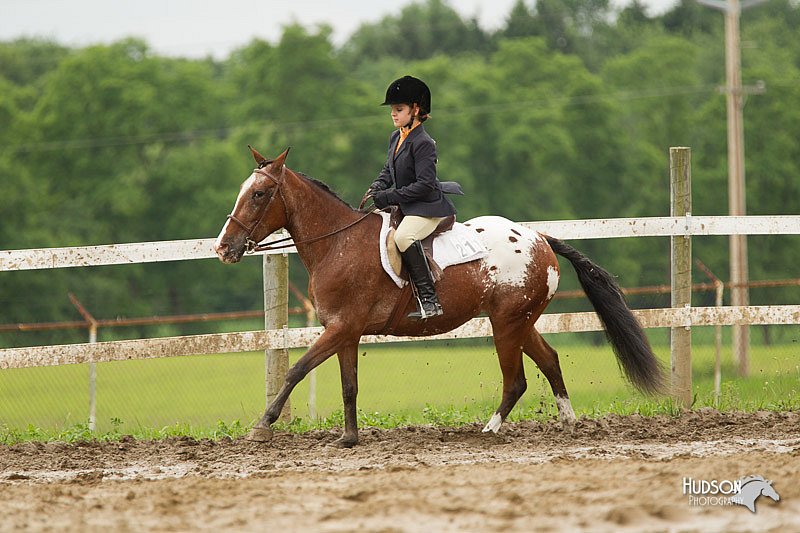 4H-1st-Show-11_1351.jpg