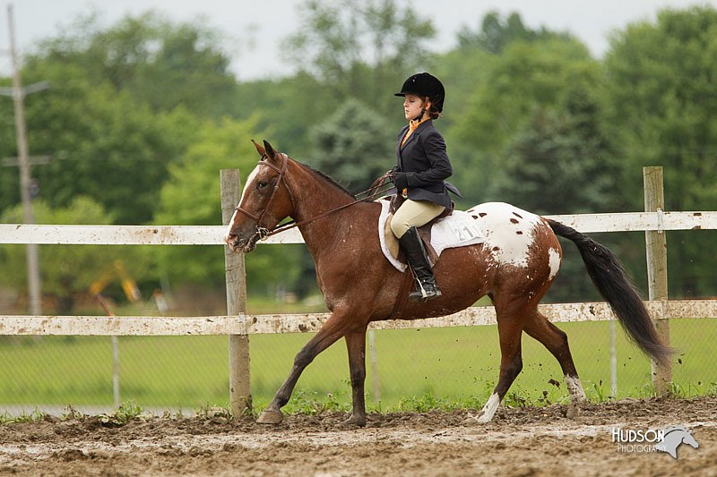 4H-1st-Show-11_1352.jpg