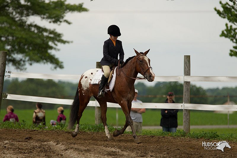 4H-1st-Show-11_1359.jpg