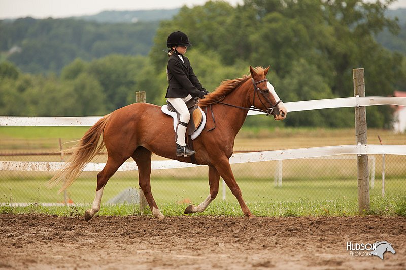 4H-1st-Show-11_1913.jpg