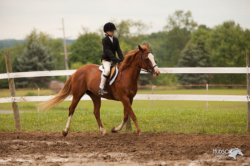 4H-1st-Show-11_1916.jpg