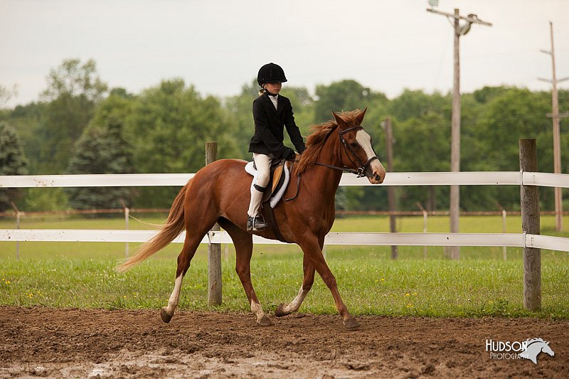 4H-1st-Show-11_1917.jpg