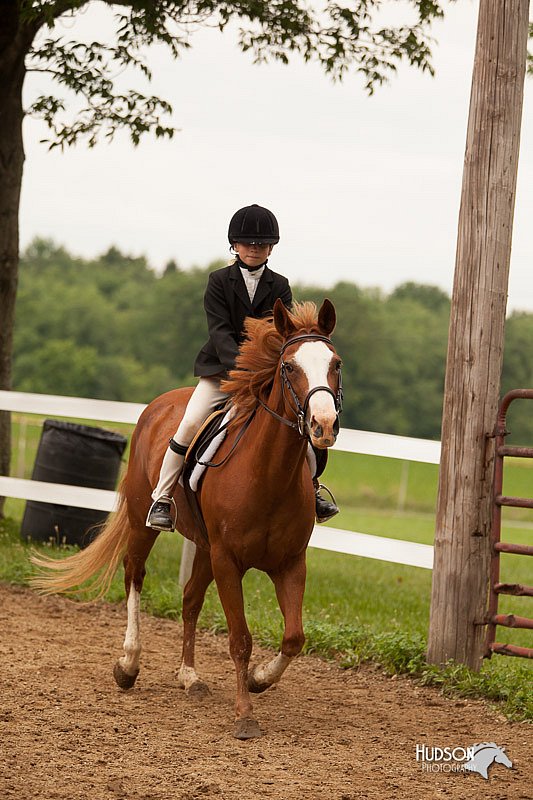 4H-1st-Show-11_1919.jpg