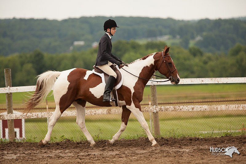 4H-1st-Show-11_1934.jpg
