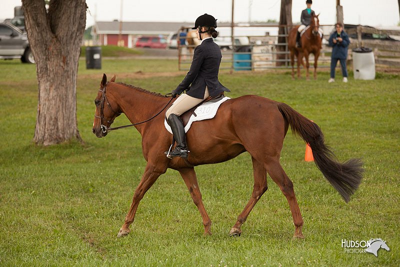 4H-1st-Show-11_2077.jpg
