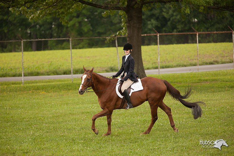 4H-1st-Show-11_2080.jpg