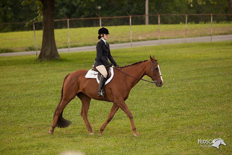 4H-1st-Show-11_2083.jpg