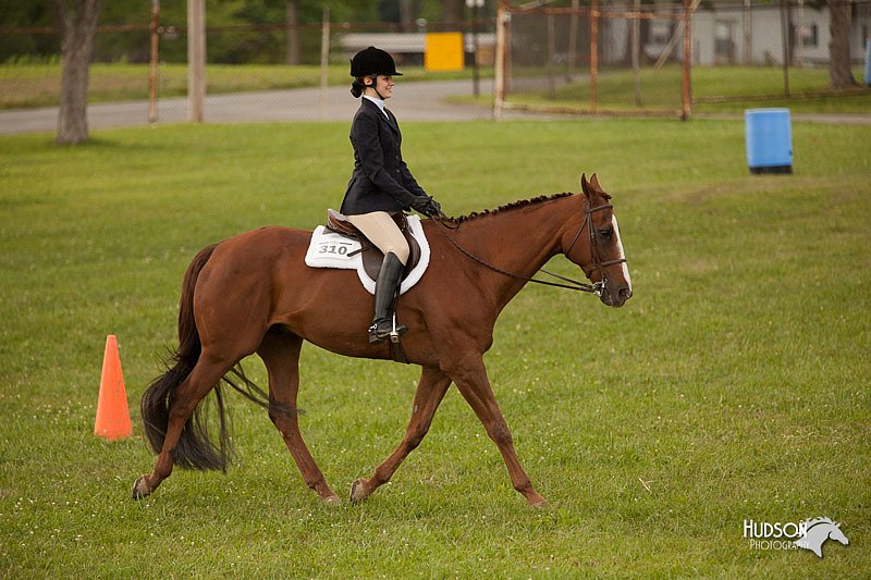4H-1st-Show-11_2084.jpg