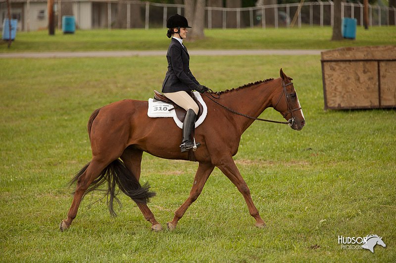 4H-1st-Show-11_2085.jpg
