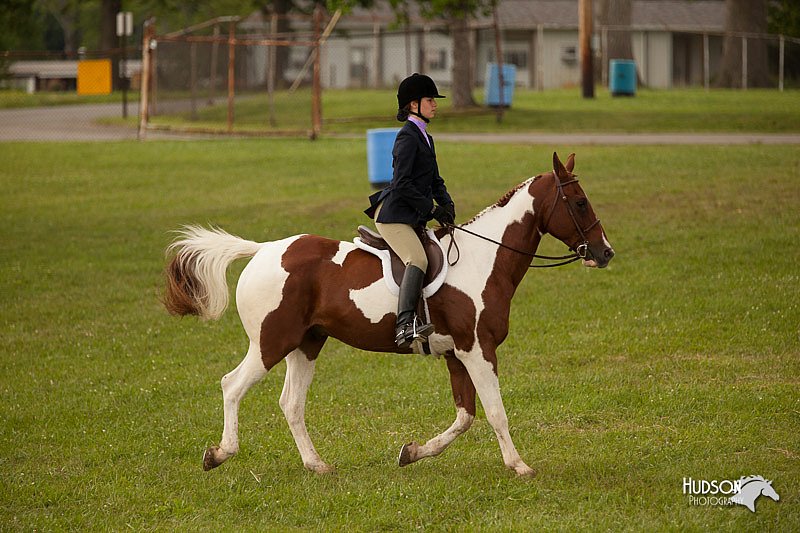 4H-1st-Show-11_2091.jpg