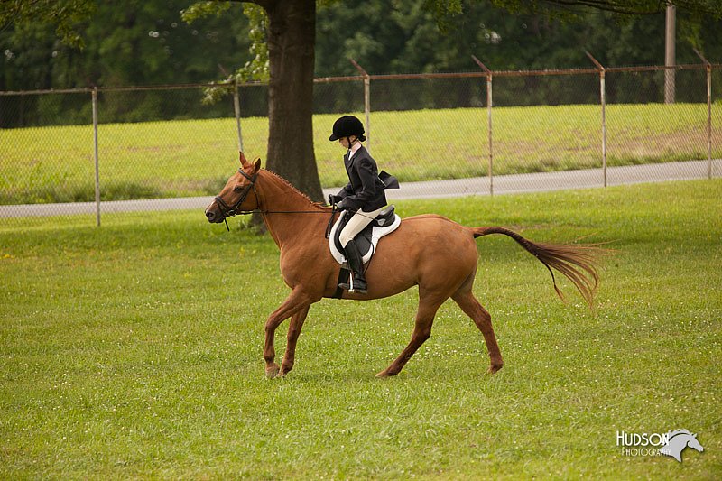 4H-1st-Show-11_2104.jpg