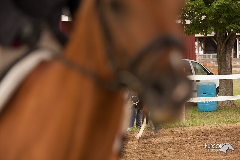 4H-1st-Show-11_2134.jpg