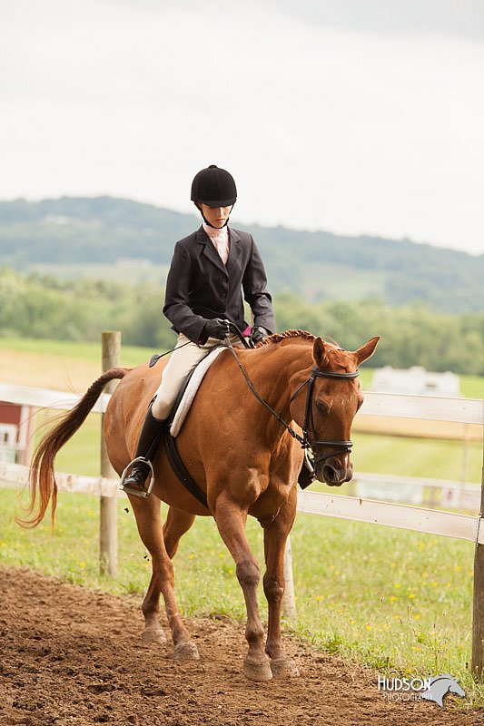 4H-1st-Show-11_2142.jpg