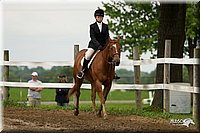 4H-1st-Show-11_1357.jpg