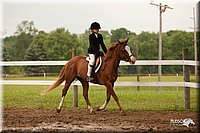 4H-1st-Show-11_1917.jpg