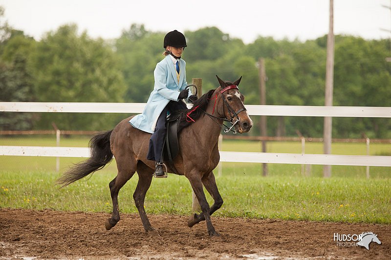 4H-1st-Show-11_1953.jpg