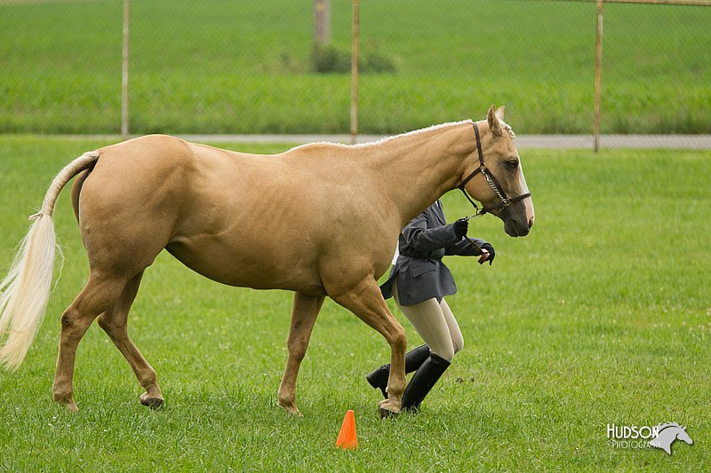 4H-1st-Show-11_0747.jpg