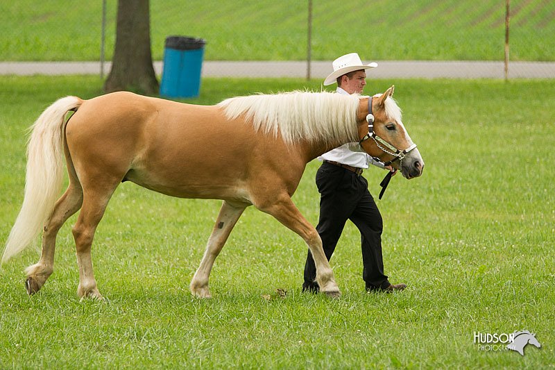 4H-1st-Show-11_0823.jpg