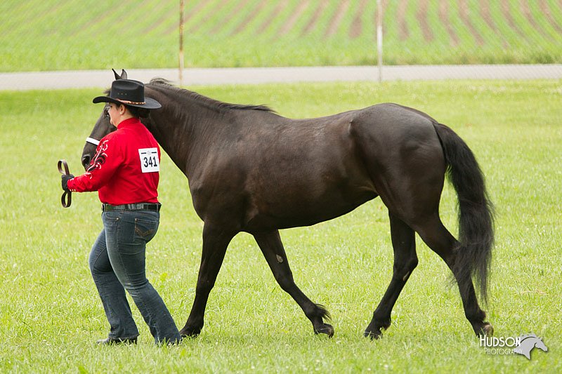 4H-1st-Show-11_0825.jpg